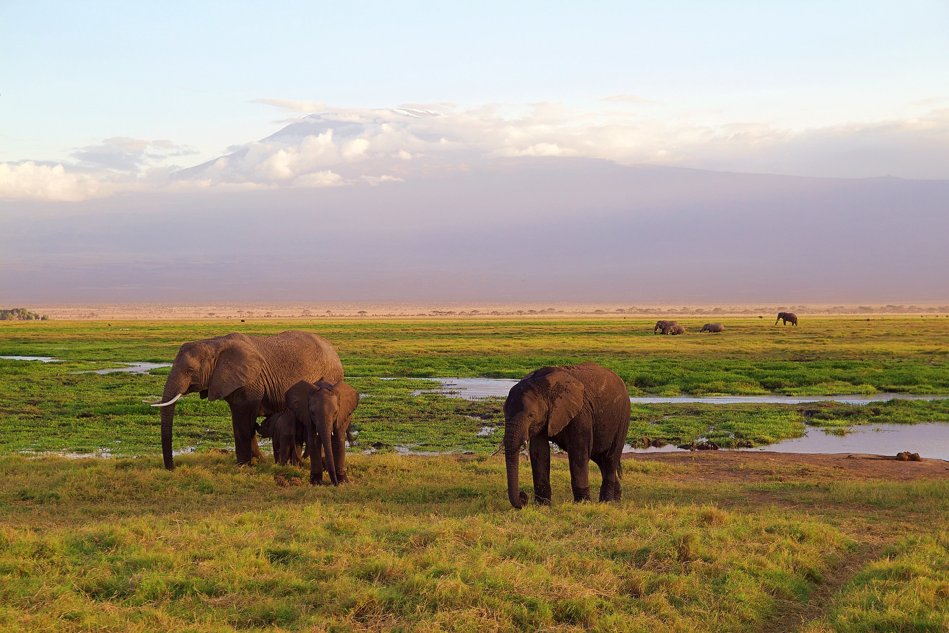 FIVE REASONS TO VISIT AFRICA AND TO FALL IN LOVE WITH THIS CONTINENT