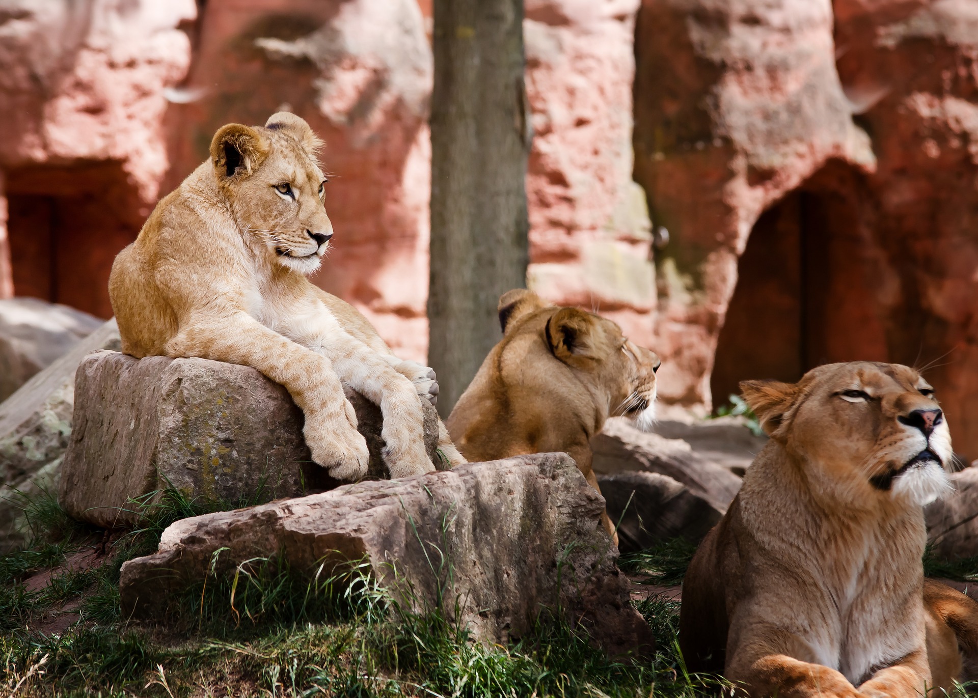 Pet zanimljivih činjenica o safariju u Кeniji