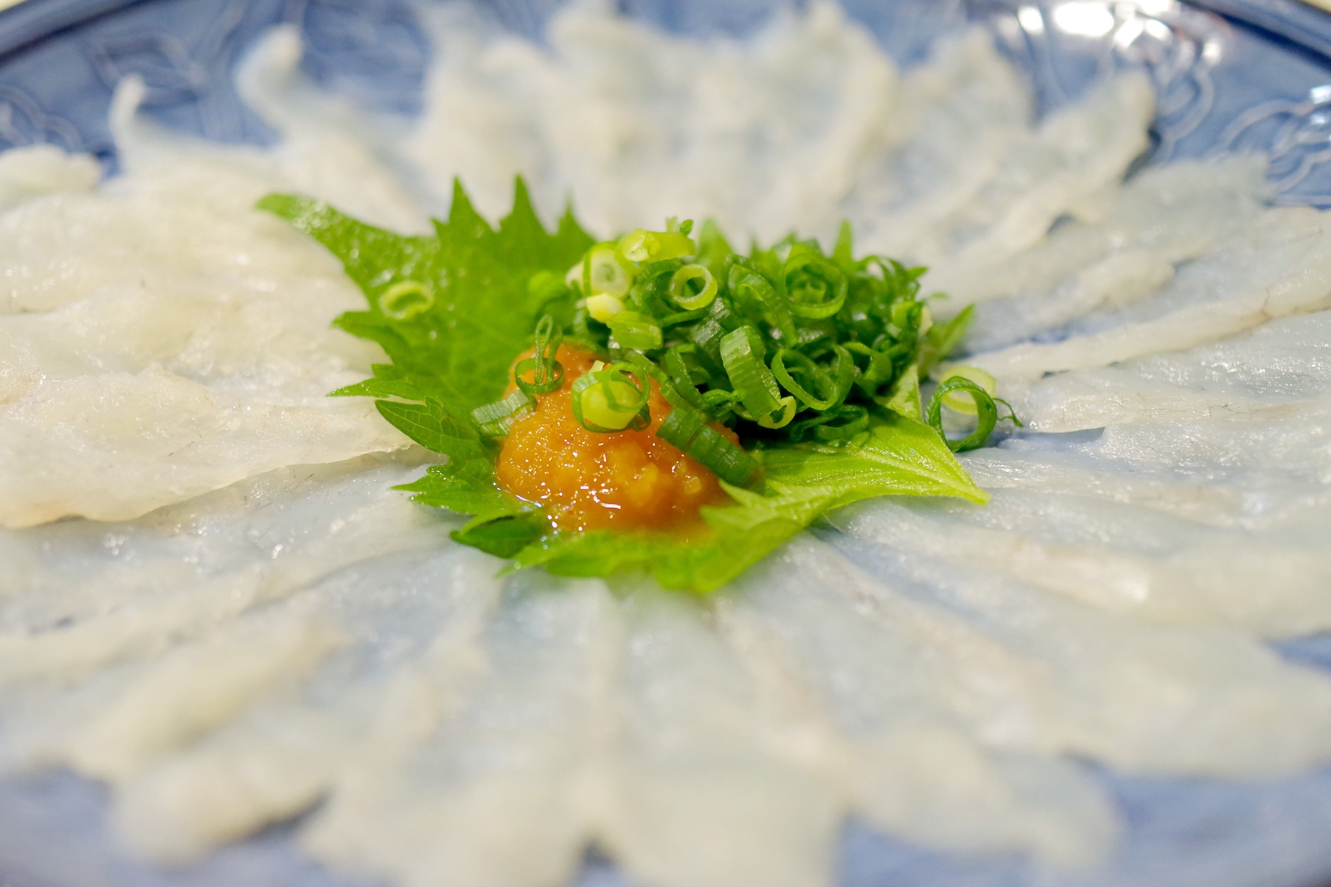 Fugu – japanska riba otrovnija od cijanida