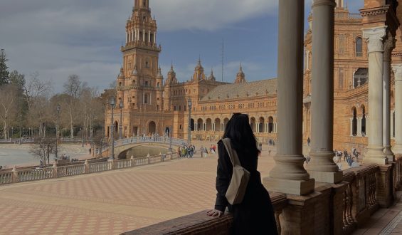 BRANISLAVA ANTOVIĆ ALEKSIĆ: ŠPANIJA – PUTOVANJA KOJA OBOGAĆUJU DUŠU