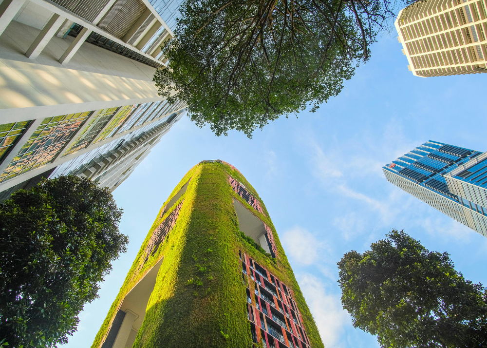 Sustainable Hospitality – Technology Serving Nature