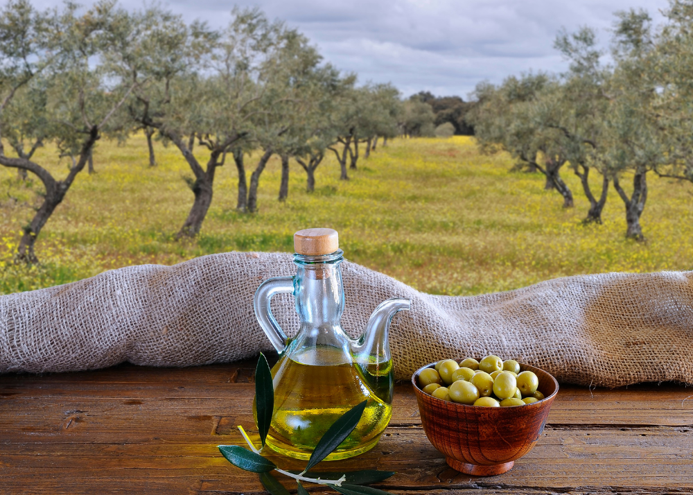 Spain promotes tourism dedicated to olive oil
