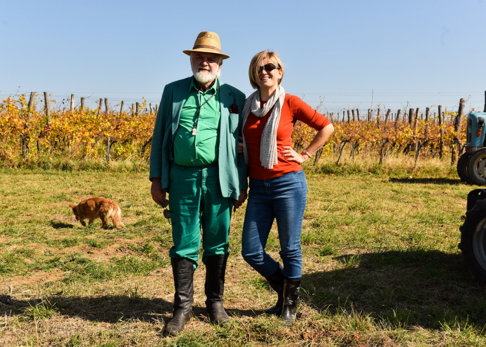 Mačkov podrum, čokot, Jojić, grožđe, vino, porodica, Vojvodina, Putovanja i turizam, 2026