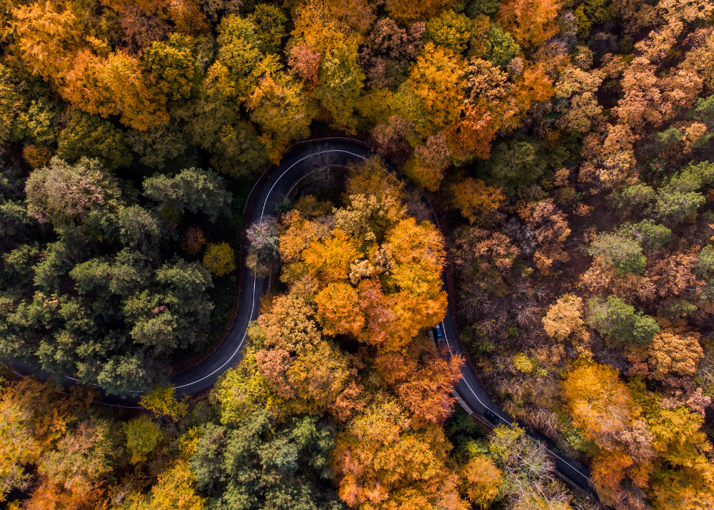 Vojvodina, nature, beauty, Serbia, travel, tourism, destinations, Putovanja i turizam, 2026